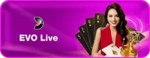 evo live casino